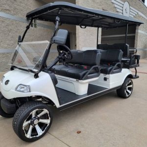 White 2023 6 Seaters Lithium Evolution Golf Carts for sale